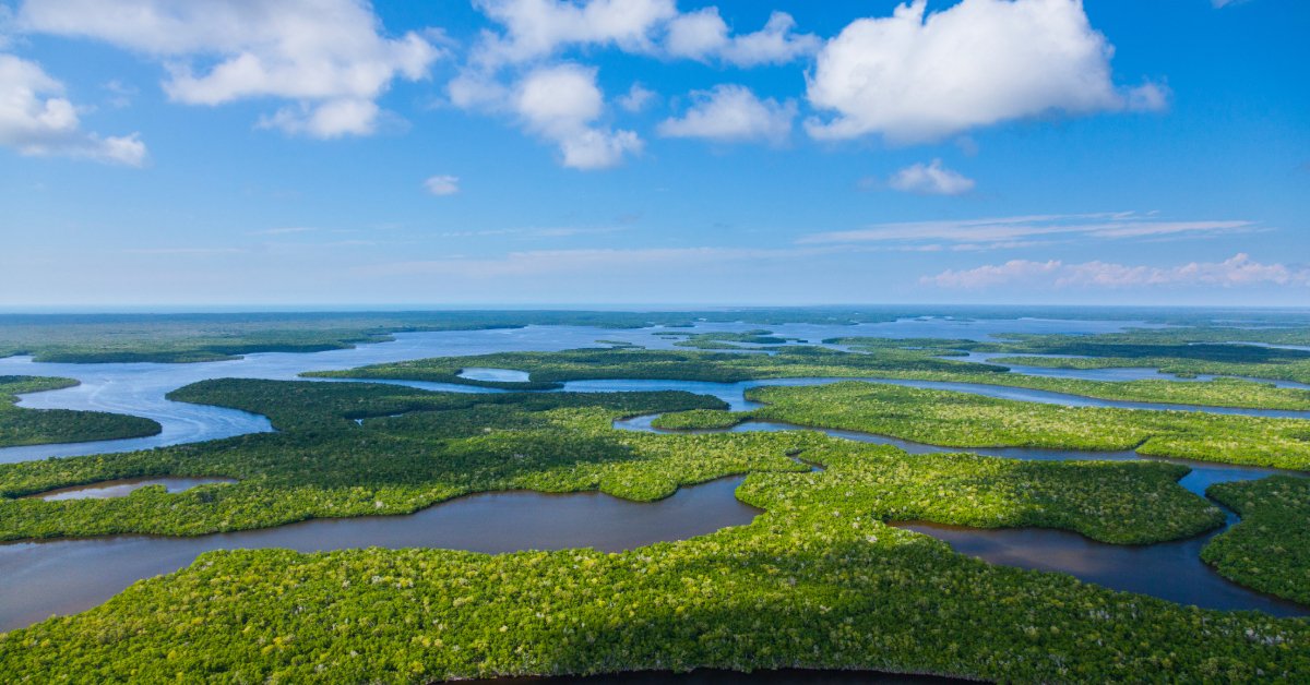Florida Everglades