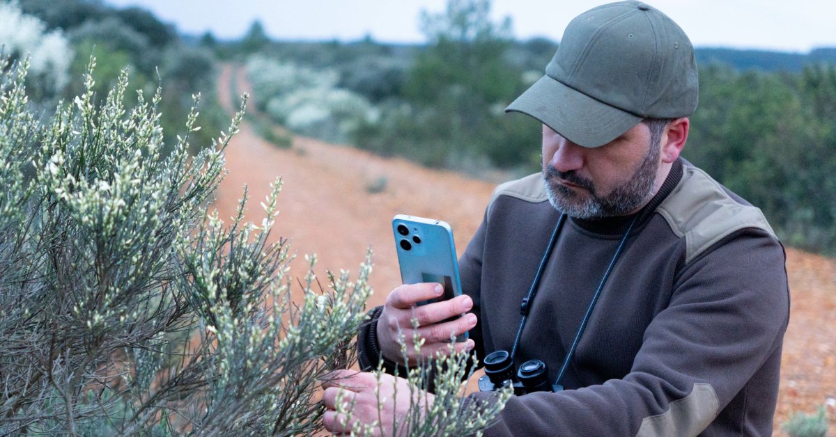 ranger using phone
