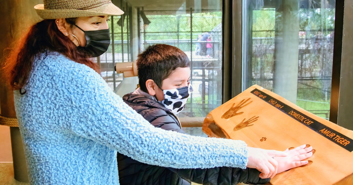 Family learning at zoo
