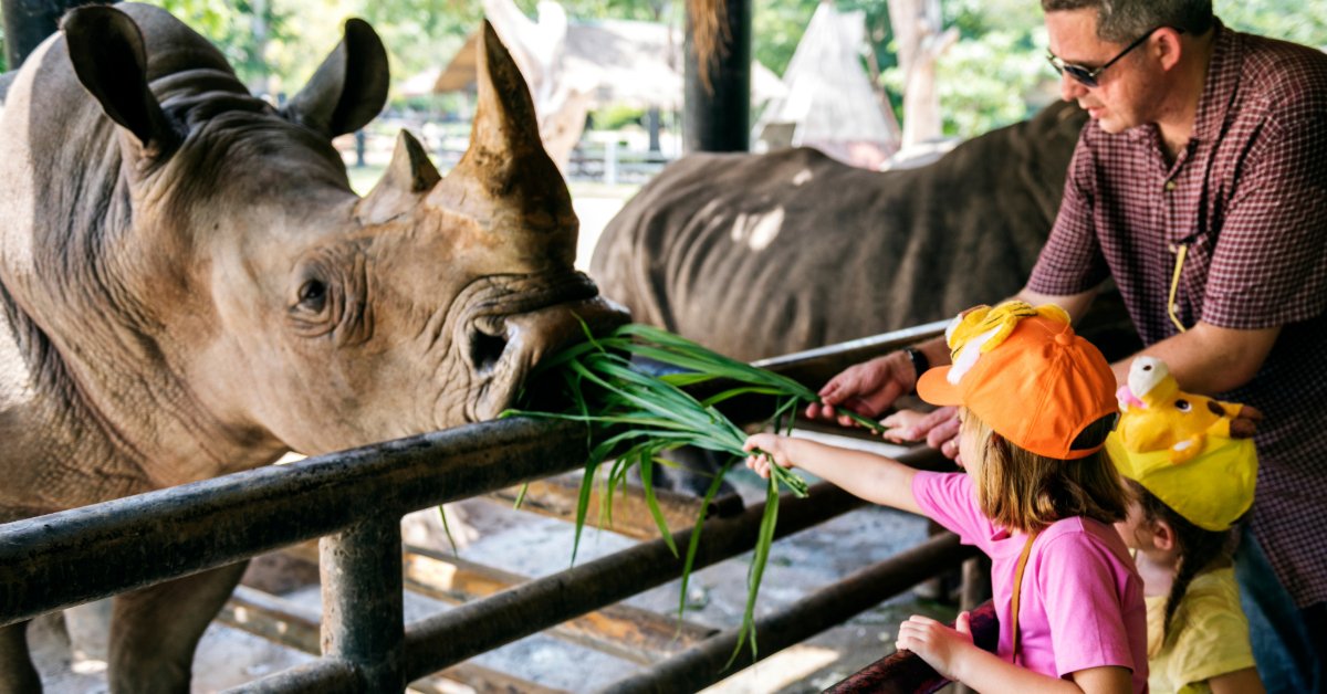Young girls feeding rhino at the zoo