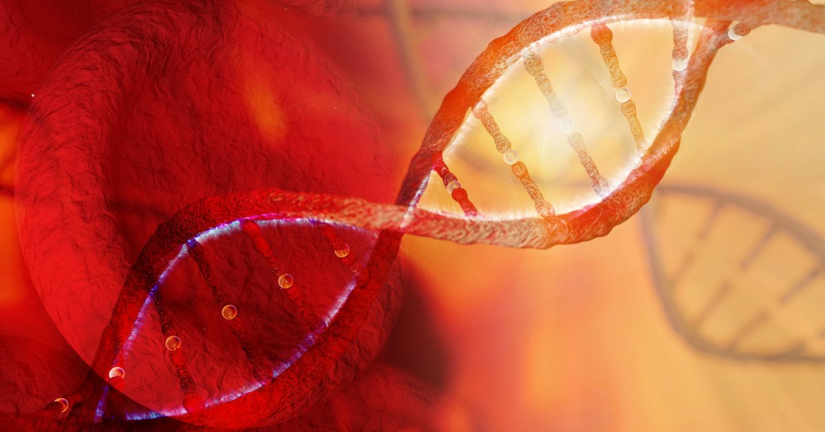 DNA stand and red blood cells